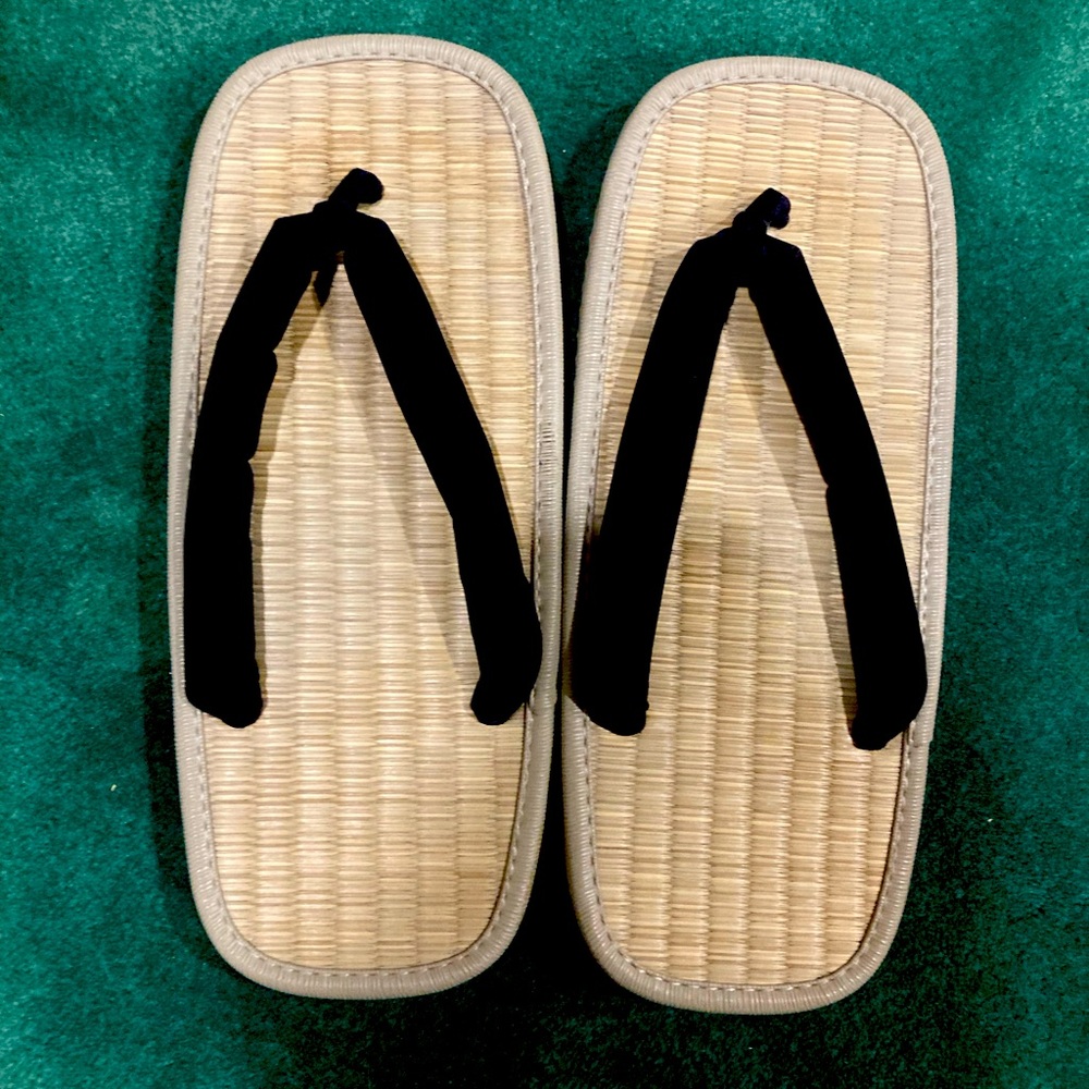 Disney World Asian sandals